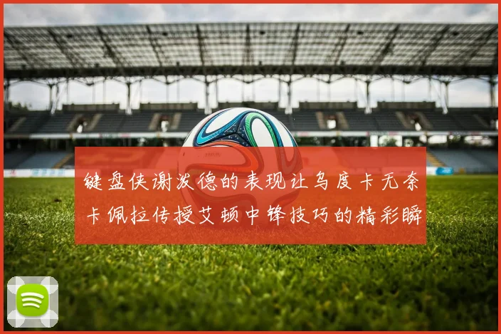 键盘侠谢泼德的表现让乌度卡无奈卡佩拉传授艾顿中锋技巧的精彩瞬间