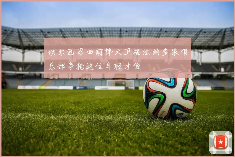 切尔西召回前锋大卫福法纳多家俱乐部争抢这位年轻才俊